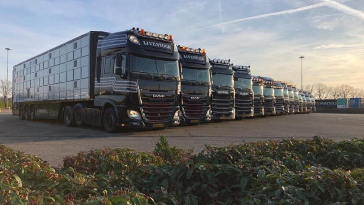 Van Rooi Livestock Lieshout afbeelding 1 Van Rooi Livestock Lieshout afbeelding 1